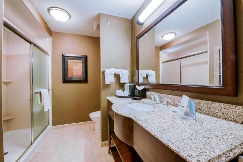 Hampton Inn & Suites Pinedale - image 12