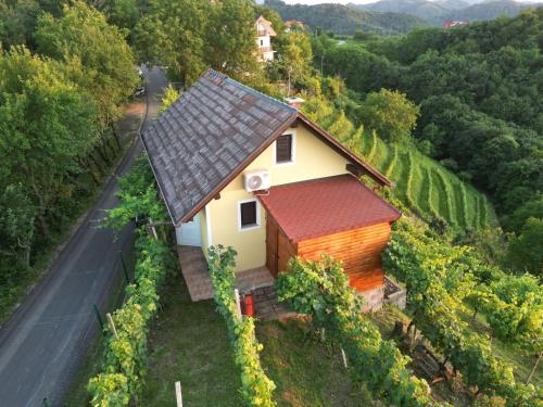. Adorable guesthouse in the middle of vineyards