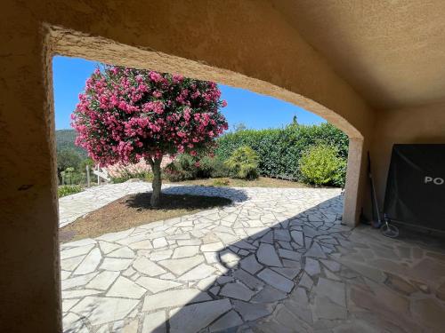 Rez de jardin, entre mer et montagne - Apartment - Levens