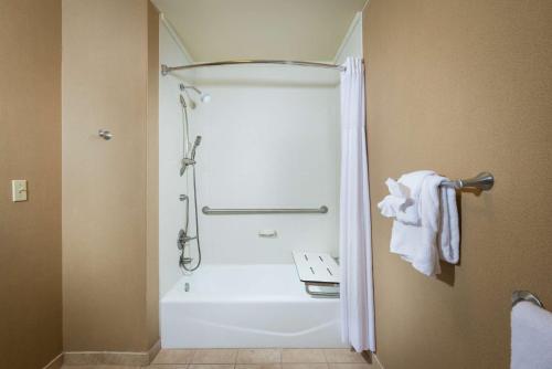 Hampton Inn Tuscaloosa-University - image 12