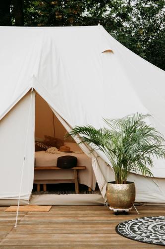  Glamping Erve Hasselo, Unterkunft in Vorden