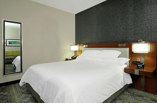 Embassy Suites Pittsburgh-Downtown Room Type - King Studio Suite