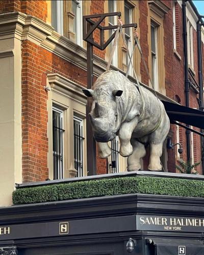 Luxury Knightsbridge apartment outside Harrods