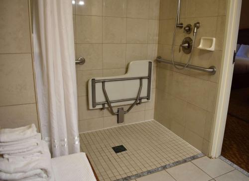 DoubleTree by Hilton Biltmore/Asheville - image 11