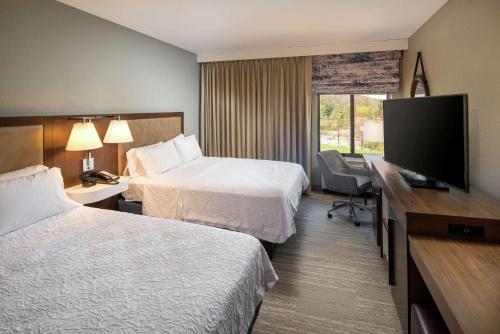 Hampton Inn By Hilton & Suites Binghamton/Vestal image 15