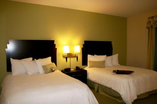 Hampton Inn Alpine - image 10