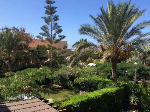 Marina 6 Luxury shaleh