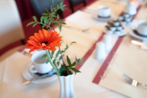 Hotel Stadtfeld - main image