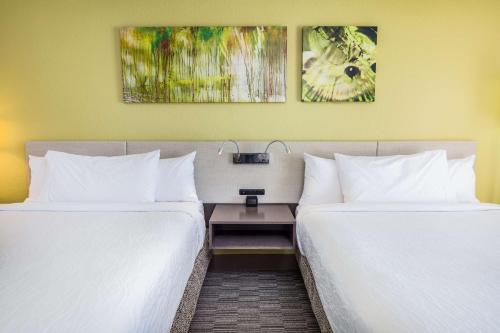 Hilton Garden Inn Orange Beach - image 12