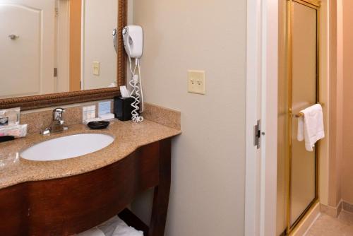 Hampton Inn Litchfield - image 11