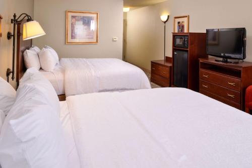 Hampton Inn Litchfield