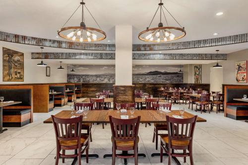 Hilton Garden Inn South Padre Island - image 11