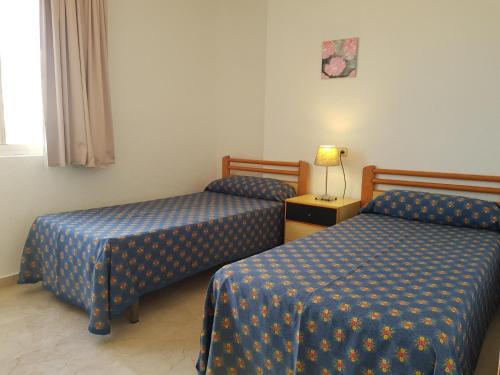 Torre Levante - Fincas Benidorm - image 13
