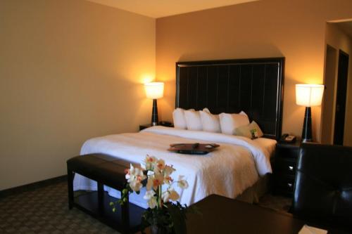 Hampton Inn & Suites McAlester, McAlester (zdjęcie 7)