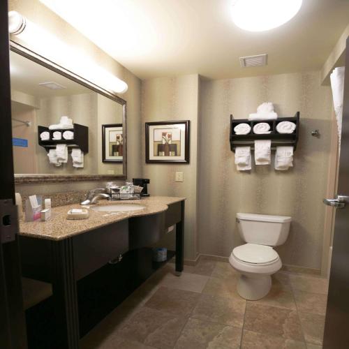 Hampton Inn & Suites McAlester - image 6
