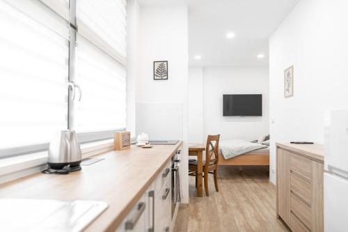 特日涅茨 Samoobsluzne Apartmany Evicenstvo 3星级 民宿 大堂