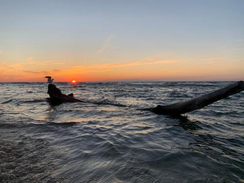 Tranquil Bay Lodge, 3 min walk to sand beach in Lambton Shores (ON)