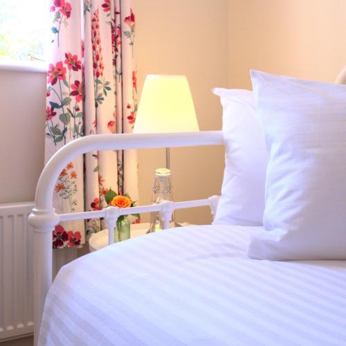 B&B Halwell - Meadowbrook House - Bed and Breakfast Halwell