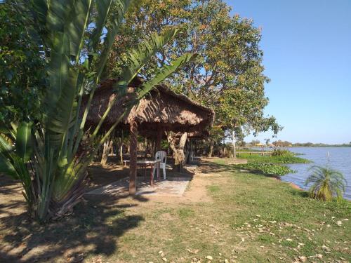 Apkārtne, L J in Trinidad