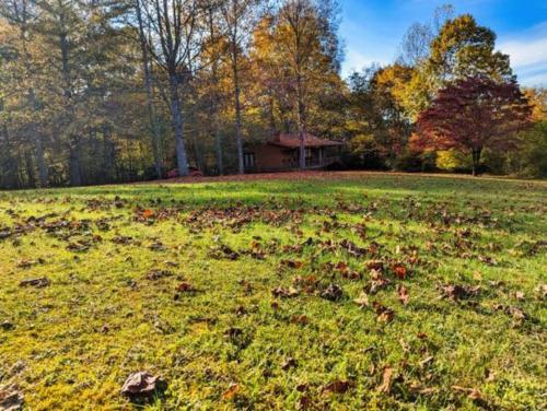 Luxury Cabin w/ Jacuzzi-Fireplace & Amazing View - Heidi in Blairsville, USA