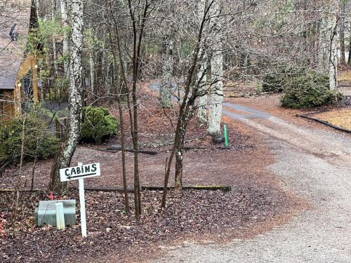Cozy Cabin In The Heart of Northern Gorgia - Gretel in Blairsville, USA