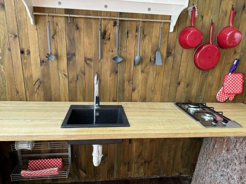 virtuve, Glamping Návary s bazénem (Glamping Navary s bazenem) in Nova Bistrice