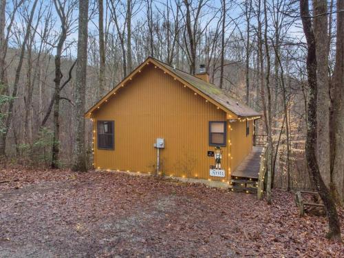 Pet Friendly Luxurious Cabin w/ Jacuzzi & Fire Pit - Fritz