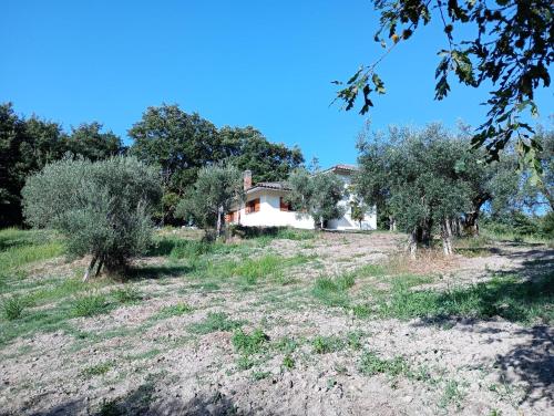  La dimora degli Angeli in 58010 CastellʼOttieri