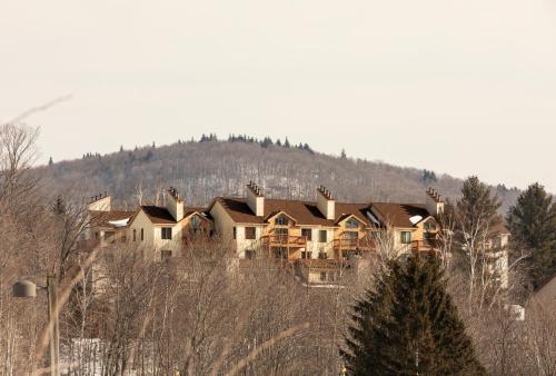 Mount Snow Lodging - image 9