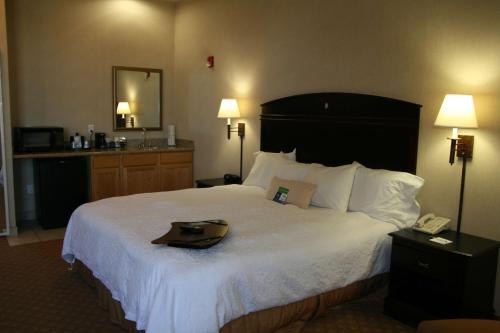 Hampton Inn & Suites Gallup - image 11