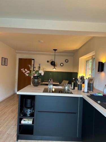 Appartement fliegender Hirsch in Romnitz