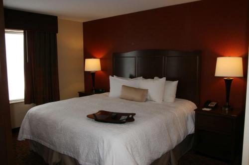 Hampton Inn and Suites Peru