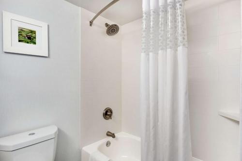Hampton Inn Waycross - image 9