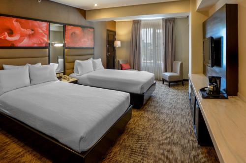 Hilton Garden Inn Guatemala City in Zona 9