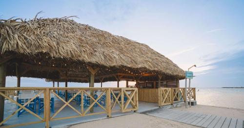 Mangrove Beach Corendon Curacao All-Inclusive Resort, Curio