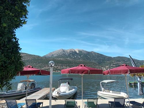  Spiros House and Studios in Yenion