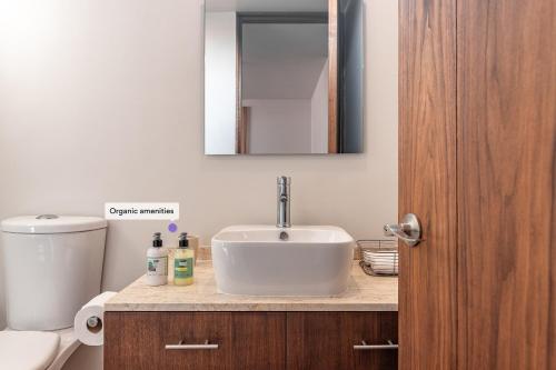 Roma Norte Trendy Apartments by VIATO Roma Norte Trendy Apartments by VIATO