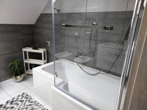 Apartment in Stepnica near Szczecin Lagoon, Stepnica (foto 4)