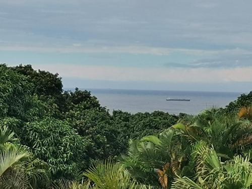 Luxury Relaxation Flatlet in the heart of Umhlanga Luxury Relaxation Flatlet in the heart of Umhlanga