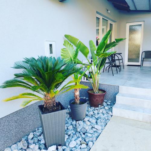 Balcony/terrace, apartmani SUN & MOON in Bjelovar