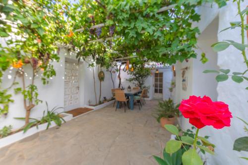 Casa CORTIJO con piscina privada