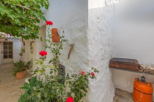 Casa CORTIJO con piscina privada