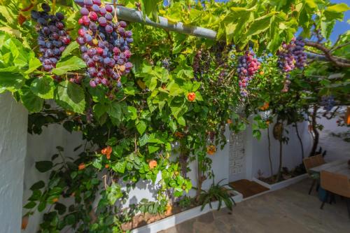 Casa CORTIJO con piscina privada