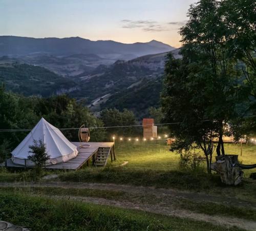 Alereks Mountain Camping