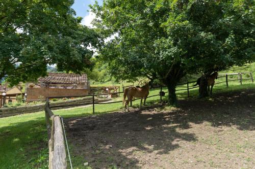 Locanda Di Alberi