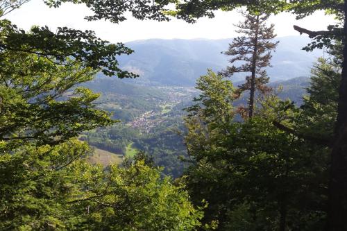 Iekārtas, A l Orée du Bois (A l Oree du Bois) in Wegscheid