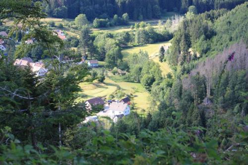 Iekārtas, A l Orée du Bois (A l Oree du Bois) in Wegscheid
