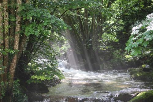 Iekārtas, A l Orée du Bois (A l Oree du Bois) in Wegscheid