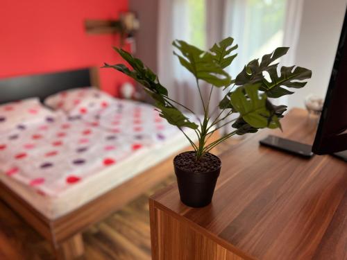  Butik Apartmanház in Fonyód