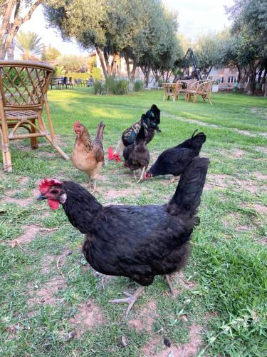 Villa Ayche Villa Ayche